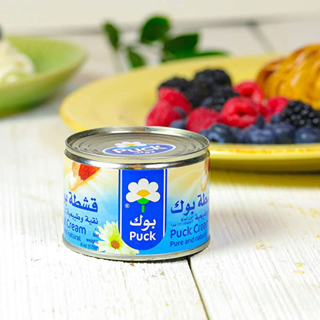 PUCK Cream Puree and Natural 170g resmi