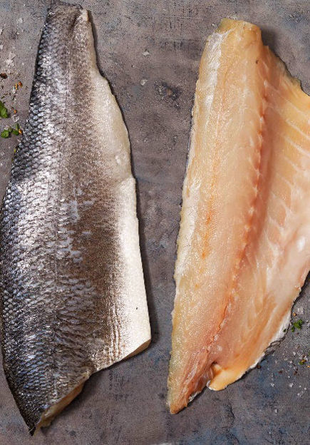Picture of Turkish Levrek Fileto ,Bronzino  Filet per pc